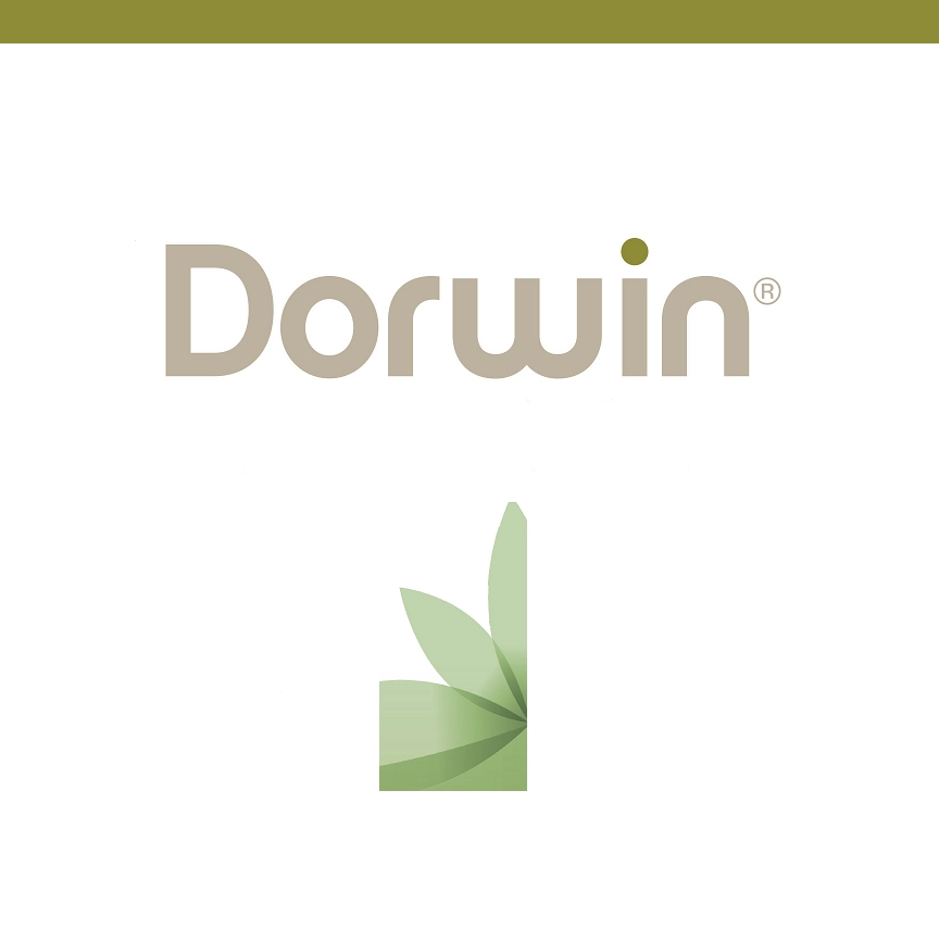 Colchones FLEX DORWIN
