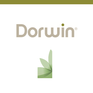 Colchones FLEX DORWIN